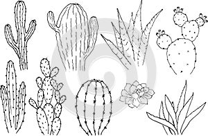 Vector set of cacti. Cartoon monochrome isolated objects on a white background.