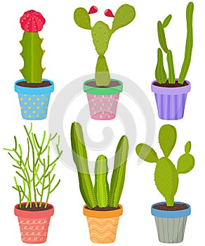 Vector set of cactus cacti aloe succulent plants in pot. Collection of flat styled hand drawn exotic houseplant.