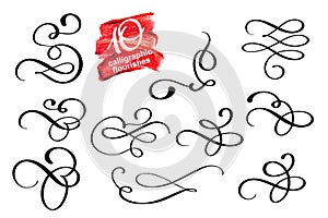 Vector set of calligraphic design flourish elements and page decorations. Elegant collection of hand drawn swirls and