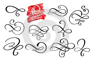 Vector set of calligraphic design flourish elements and page decorations. Elegant collection of hand drawn swirls and