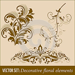 Vector set of calligraphic and page decoration design elements. Elegant elements for your design