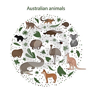 Vector set of cartoon Australian animals with leaves flowers and spots in a circle. Quoll, redback spider, kiwi, numbat
