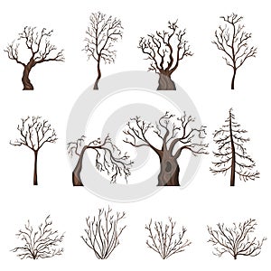 Vector Set of Cartoon Bare Trees and Shrubs