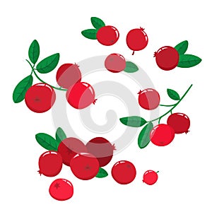 Vector set cartoon cranberries with green leaves isolated on white