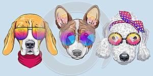 Vector Set 6 of cartoon dogs