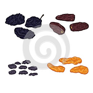 Vector Set of Cartoon Dried Fruits