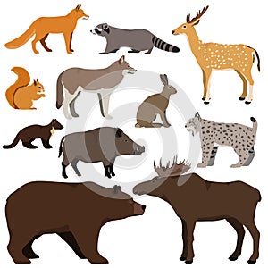 Vector set of cartoon forest animals. Brown bear, raccoon, squirrel, spotted deer, lynx, marten, wild boar, elk, wolf, fox, hare