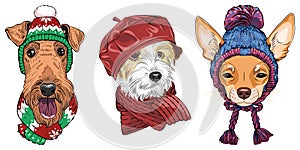 vector Set 18 cartoon hipster dogs photo