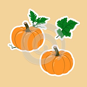 Vector set with cartoon orange pumpkin and green leaves.