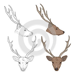 Vector Set of Cartoon and Sketch Deer Heads