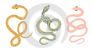 Vector set of cartoon snakes isolated from background. Clipart collection of serpents in various poses in pastel colors