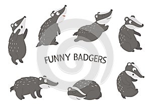 Vector set of cartoon style hand drawn flat funny badgers in different poses. Cute illustration of woodland animals for children
