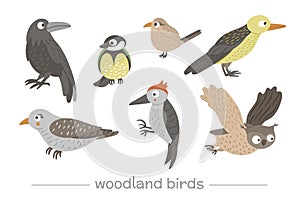 Vector set of cartoon style hand drawn flat funny cuckoos, woodpeckers, owls, raven, wren. Cute illustration of woodland birds for photo