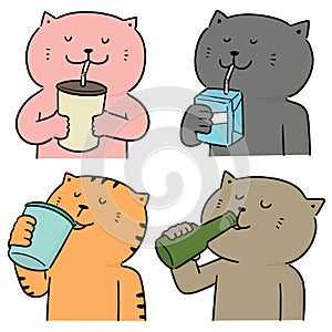 Vector set of cat drinking