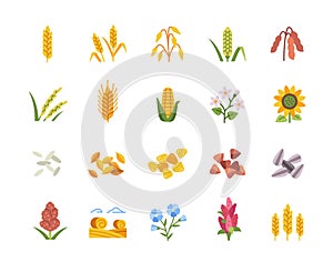 Vector Set of cereals icons