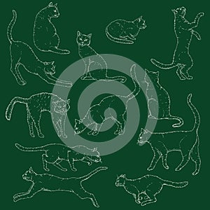 Vector Set of Chalk Sketch Cats illustration. Hand Drawn Feline Poses