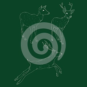 Vector Set of Chalk Sketch Deers