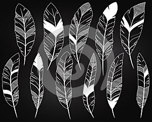 Vector Set of Chalkboard Feathers