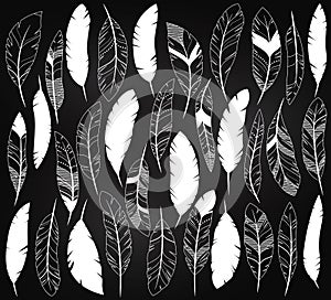 Vector Set of Chalkboard Feathers