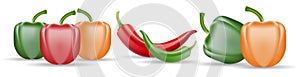 Vector Set of Chili Pepper and Colored Yellow Green and Red Sweet Bulgarian Bell Peppers, Paprika and Chili Isolated On