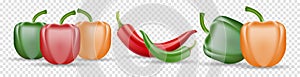 Vector Set of Chili Pepper and Colored Yellow Green and Red Sweet Bulgarian Bell Peppers, Paprika and Chili Isolated On