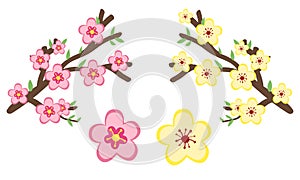 Vector set of Chinese New Year flower blossom clipart. Simple cute pink and yellow flowers peach blossom and Ochna integerrima