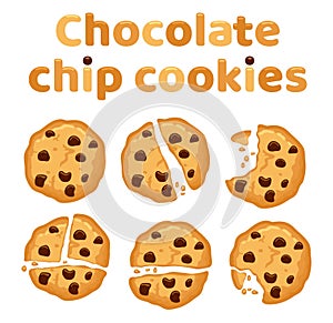 Vector set of chocolate chip cookies