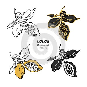 Vector set of cocoa logo. Nature symbol