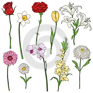 Vector Set of color Cartoon Flowers