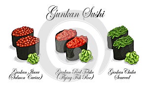 Vector set, color sketch, Gunkan Sushi
