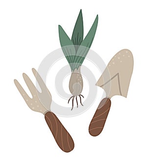 Vector set of colored garden tools with plant. Collection of gardening equipment with bulb tulip. Flat spring illustration of