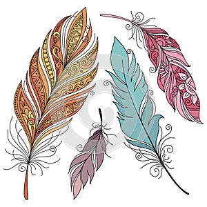 Vector Set of Colored Ornate Decorative Feathers