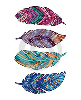 Vector set of colored ornate decorative feathers