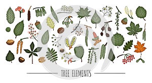 Vector set of colored tree elements isolated on white background.