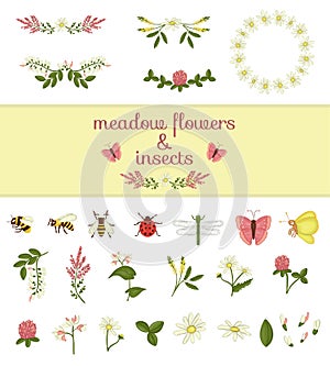 Vector set of colored wild flowers elements and insects