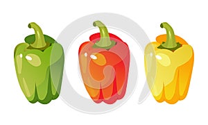 Vector Set of Colored Yellow Green Orange. Red, yellow and green sweet bulgarian bell peppers, paprika isolated on white