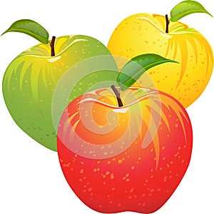 Vettore un impostato composto da colorato mele 