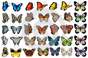 Vector set of colorful butterflies.