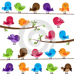 Vector Set of Colorful Cartoon Birds photo