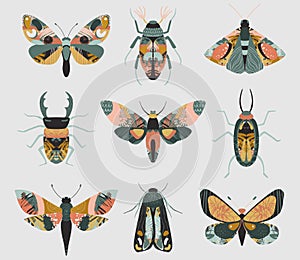 Vector set of colorful insects with hand drawn abstract texture. Beetle, butterfly, moth collection.