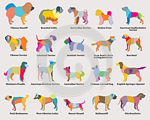 Vector set of colorful mosaic dogs silhouettes-5