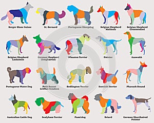 Vector set of colorful mosaic dogs silhouettes-6