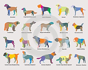 Vector set of colorful mosaic dogs silhouettes