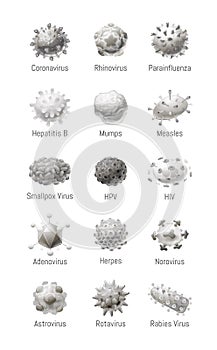 Vector set of common viruses. Models of pathogens photo