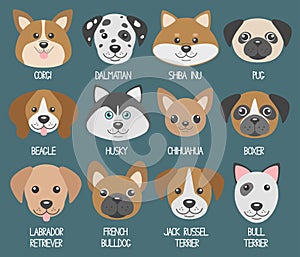 Vector set with cute cartoon dog puppies