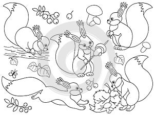 Vector Set of Cute Cartoon Squirrels