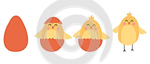 Vector set of cute chickens. Chick hatched from an egg. Cute Easter chicks.