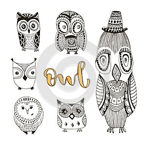 Vector set of cute doodle owls. Birds collection for kids or adult coloring book pages