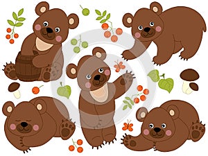 Vector Set of Cute Forest Brown Bears