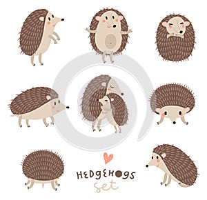 Vector set of cute hedgehogs